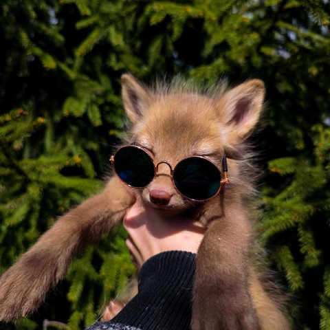 Аватар